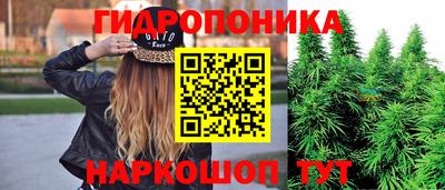 прущие грибы Анжеро-Судженск